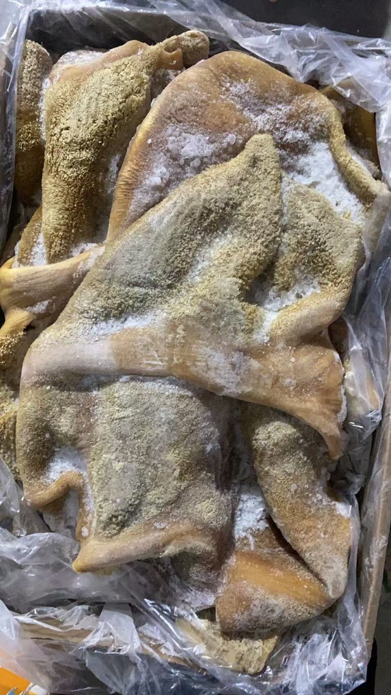 全熟牛肚品质保证诚信经营价格优惠全国发货