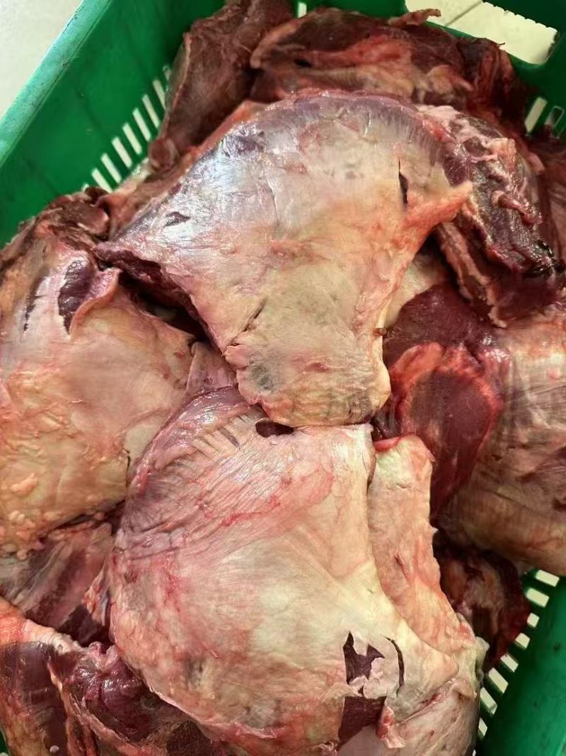 精修公牛大脸肉品质保证价格优惠厂家直供全国发货