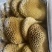 金钱肚（蜂窝肚）微发经济实用款品质好价格低