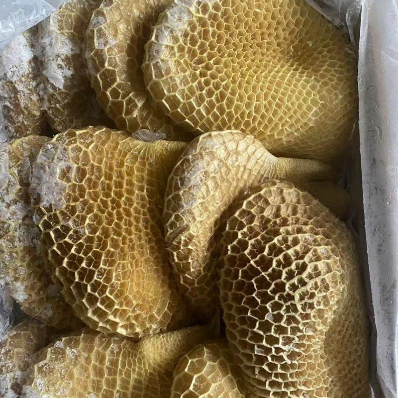 金钱肚（蜂窝肚）微发经济实用款品质好价格低