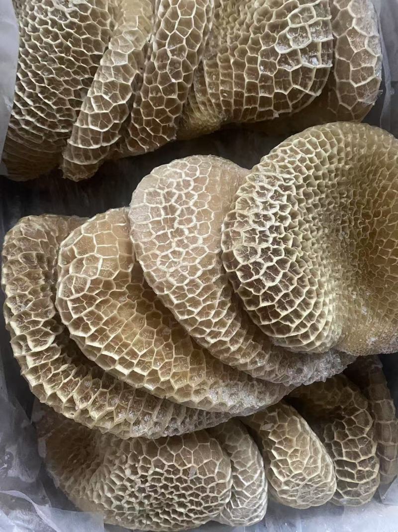 金钱肚（蜂窝肚）微发经济实用款品质好价格低