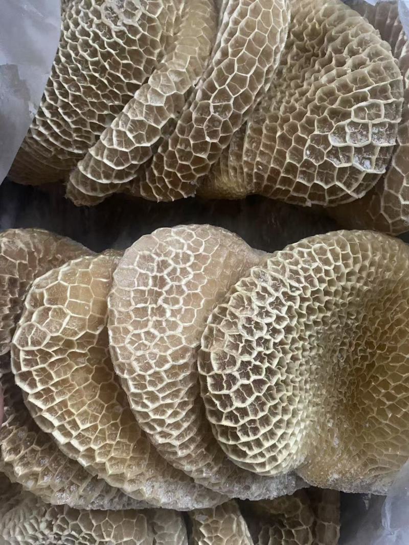 金钱肚（蜂窝肚）微发经济实用款品质好价格低