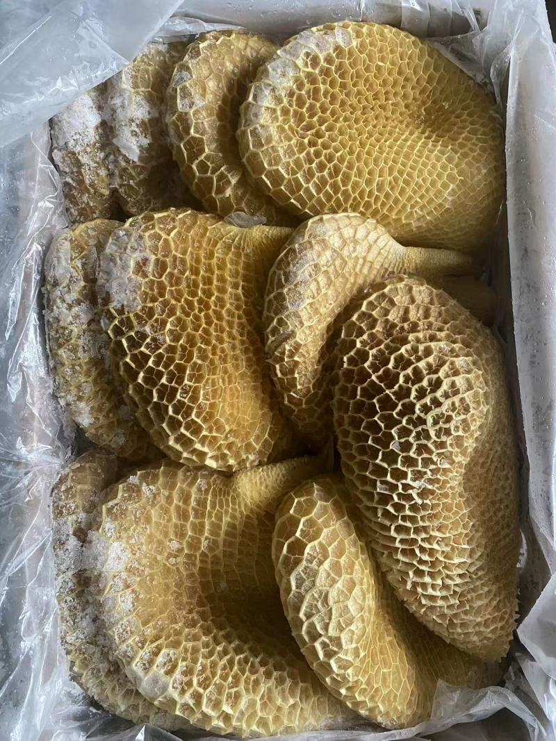 金钱肚（蜂窝肚）微发经济实用款品质好价格低