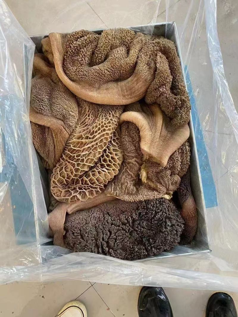 牛黑肚本地黑毛肚精修去油清洗干净品质好价格低