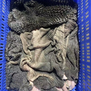 牛黑肚本地黑毛肚精修去油清洗干净品质好价格低