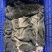牛黑肚本地黑毛肚精修去油清洗干净品质好价格低