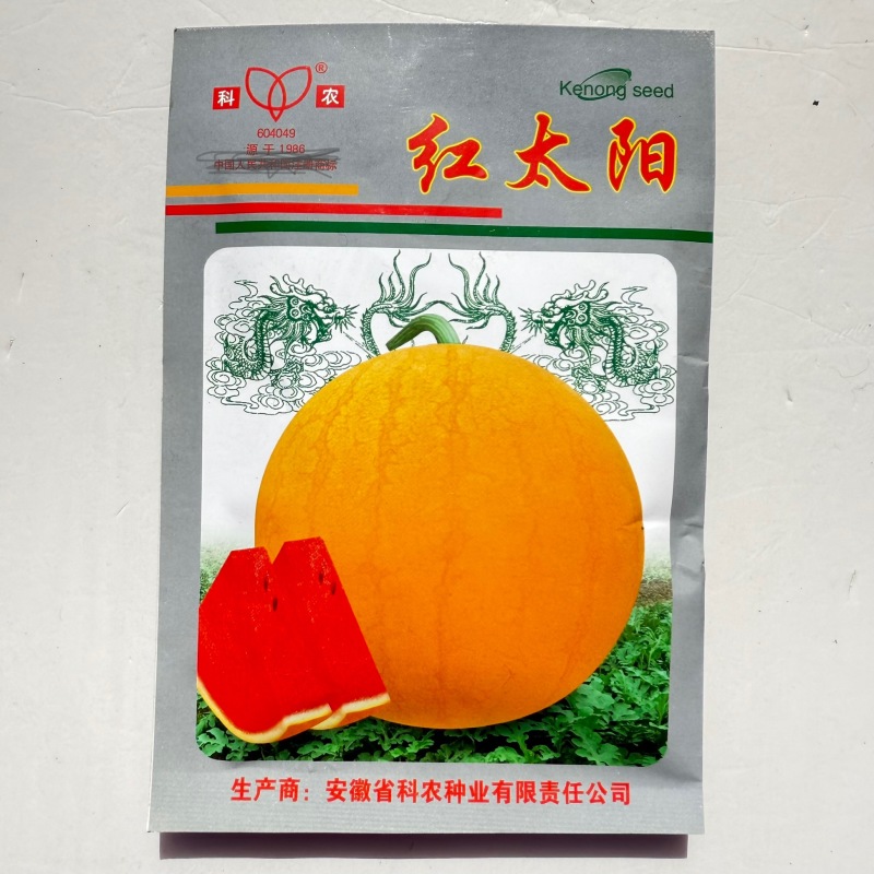 红太阳西瓜种子早熟高产黄皮红瓤西瓜籽薄皮且韧超甜耐贮运