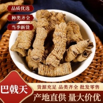 巴戟天批发优质巴戟天产地一手货源量大价优