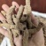 巴戟天批发优质巴戟天产地一手货源量大价优