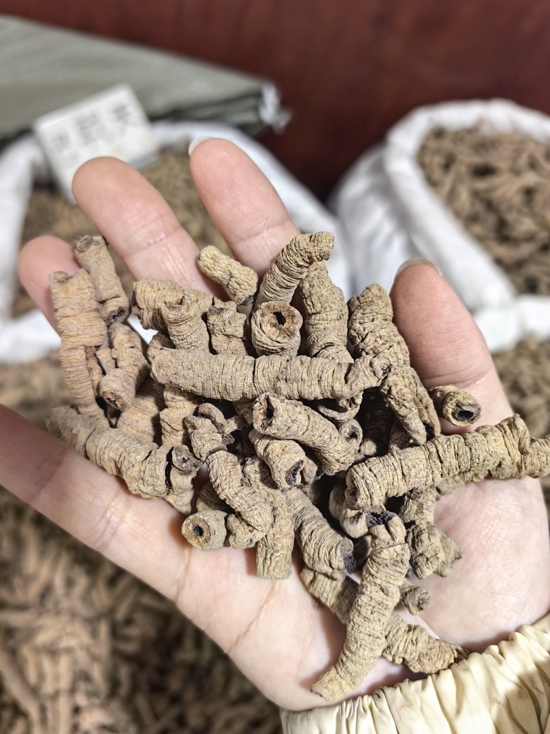 巴戟天批发优质巴戟天产地一手货源量大价优