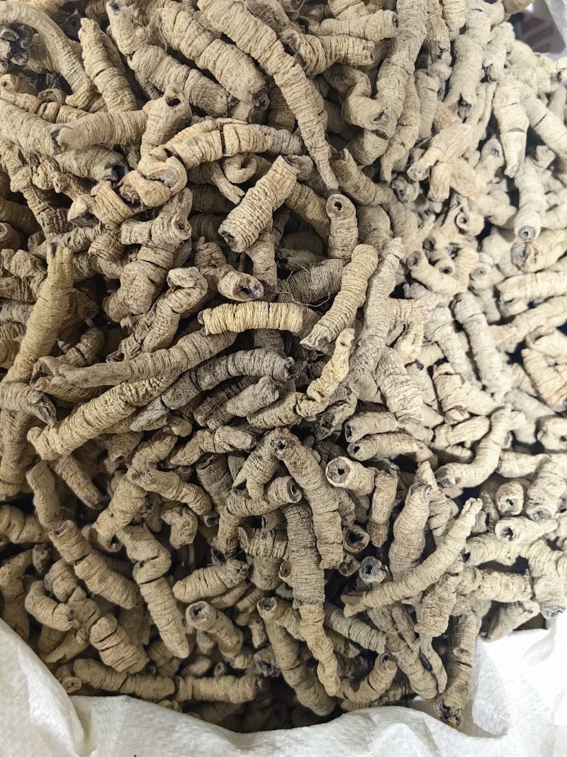 巴戟天批发优质巴戟天产地一手货源量大价优