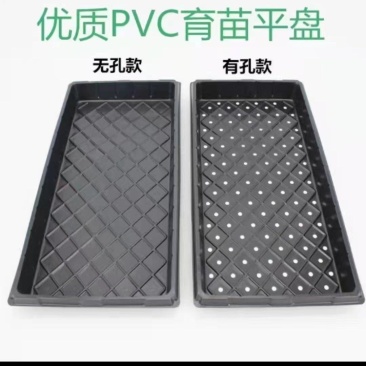 育苗盘