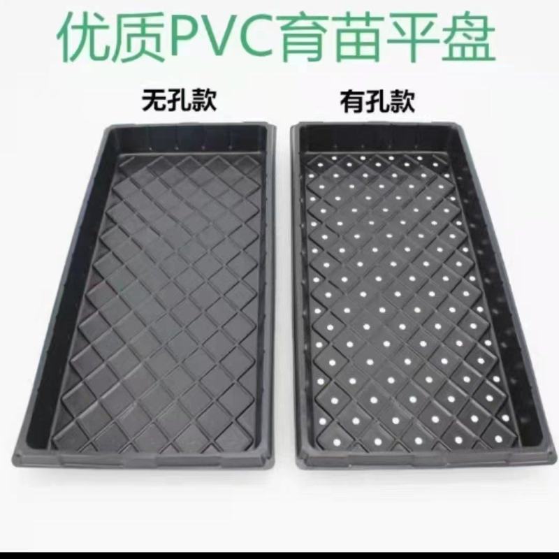 育苗盘
