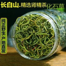 化石草小叶肾精茶规格齐全可供实体店批发零售量大价优