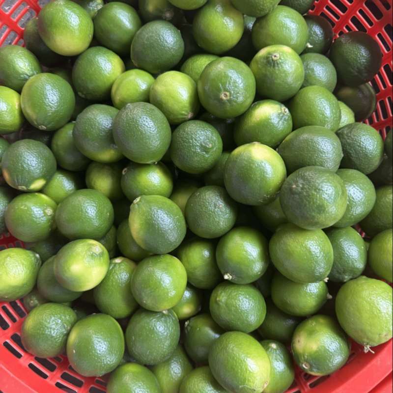 无籽青柠