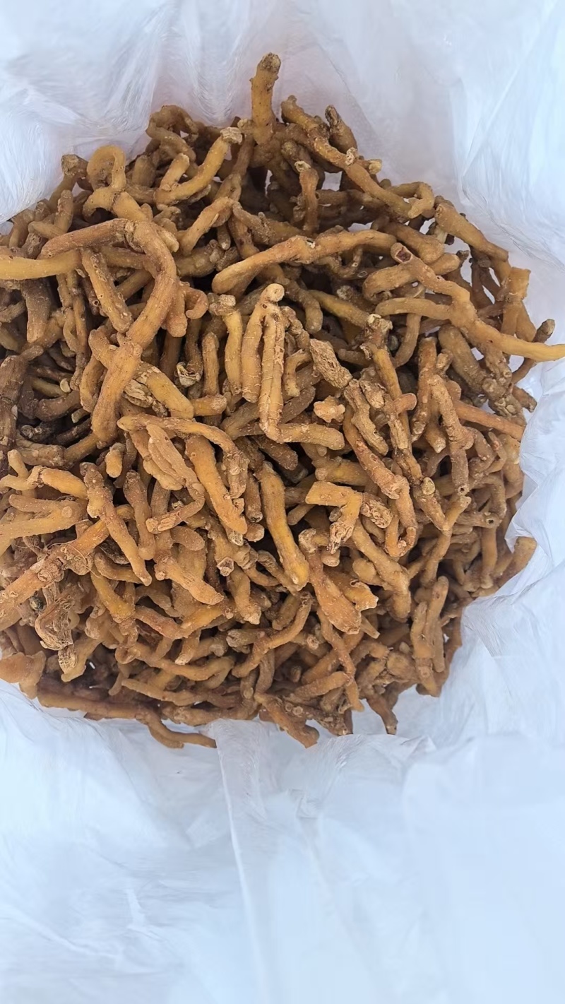 玉竹批发优质玉竹规格齐全可供实体店量大价优