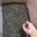 普洱生态古树茶