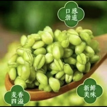 出售优质，青麦仁农家，自产自销。厂家直发一手货源欢迎老板