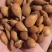 毛桃种子出芽率高颗颗饱满诚信商家质量保证