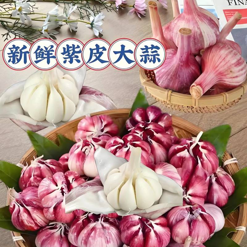 河南红皮大蒜，产地直蒜米厂蒜米料，电商货，超市精品大蒜。