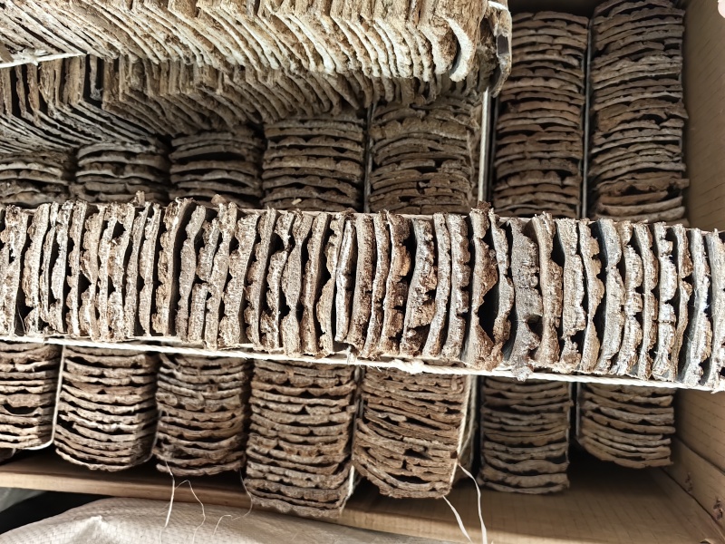 杜仲批发优质杜仲规格齐全可供实体店量大价优