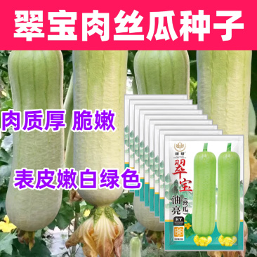 翠宝肉丝瓜种子早熟表皮嫩白绿色短棒肉质脆嫩耐热