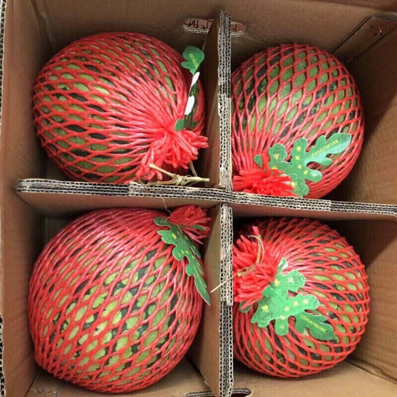 精品麒麟西瓜大量上市中皮薄糖分高对接批发电商超