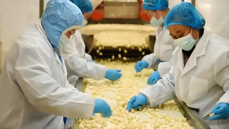 优选紫皮蒜蒜米厂**优质米料价格规格可协商