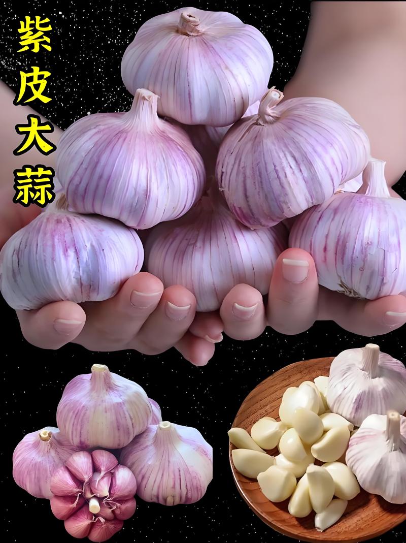 优选紫皮蒜蒜米厂**优质米料价格规格可协商