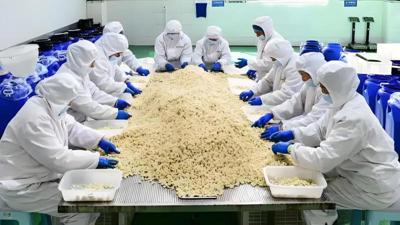 优选紫皮蒜蒜米厂**优质米料价格规格可协商