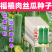 福禧肉丝瓜种子瓜皮青绿色肉质清香耐热早熟硬度好