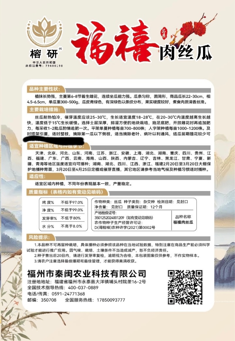 福禧肉丝瓜种子瓜皮青绿色肉质清香耐热早熟硬度好