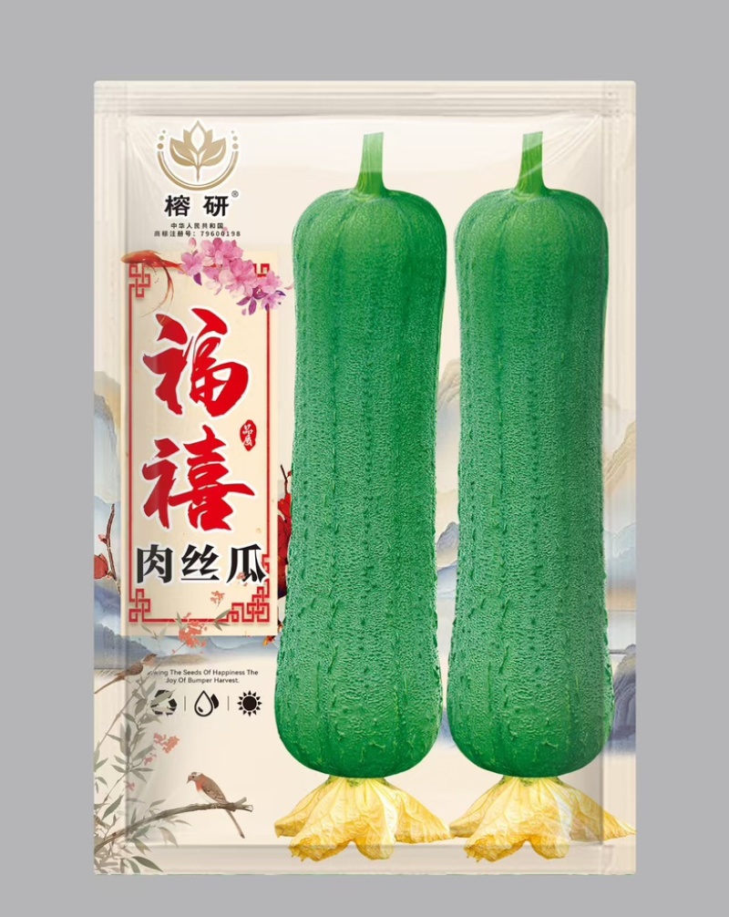 福禧肉丝瓜种子瓜皮青绿色肉质清香耐热早熟硬度好