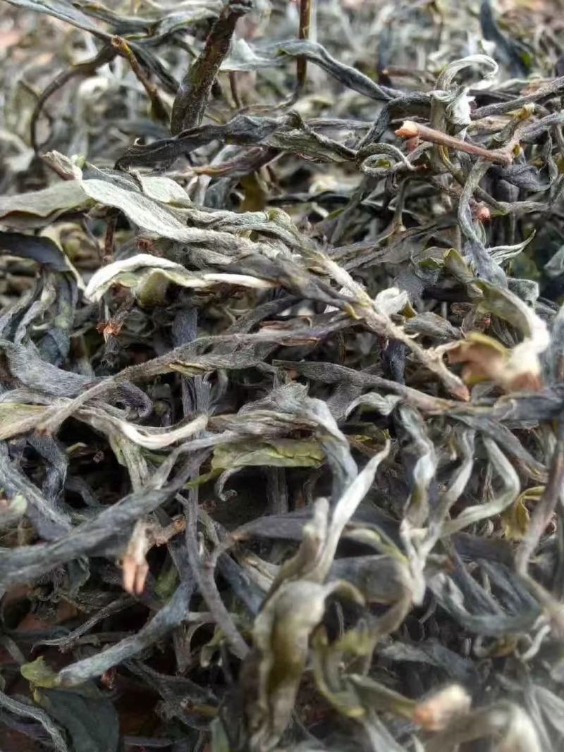 云南傣家曼松普洱茶生茶熟茶万吨货源