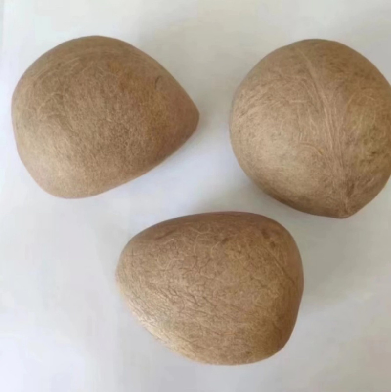 椰皇椰子肉新鲜打椰奶煲汤餐饮椰子鸡用奶香火锅海椰皇老椰子