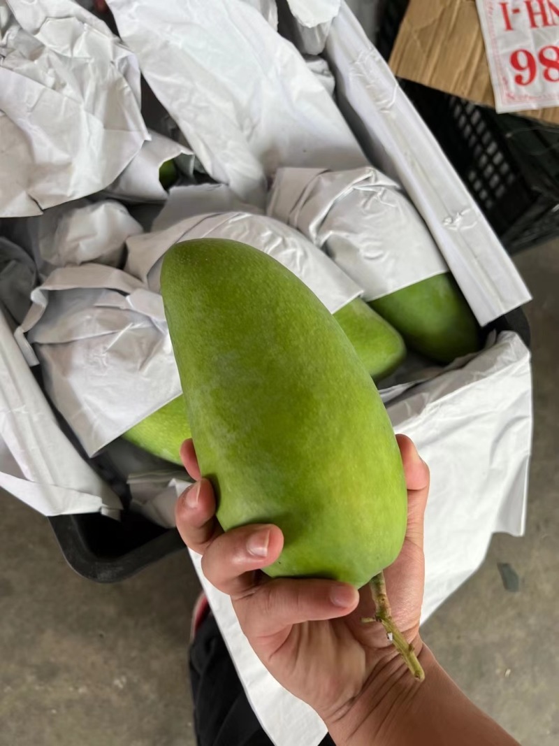 一件代发大青芒菠萝果蔬加工芒果削皮