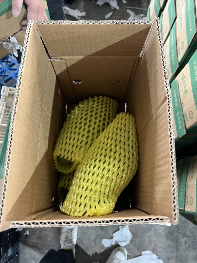 一件代发大青芒菠萝果蔬加工芒果削皮