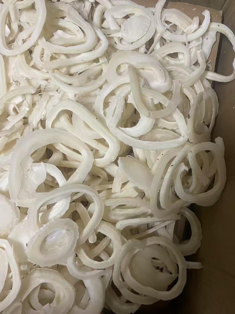 印度椰皇去皮切片椰子肉新鲜打椰奶奶香做椰子鸡火锅用