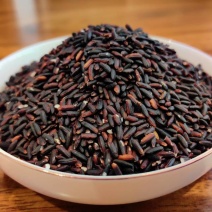 紫黑香米/糙米/紫米/老品种黑米/梯田黑香米新米/全谷米