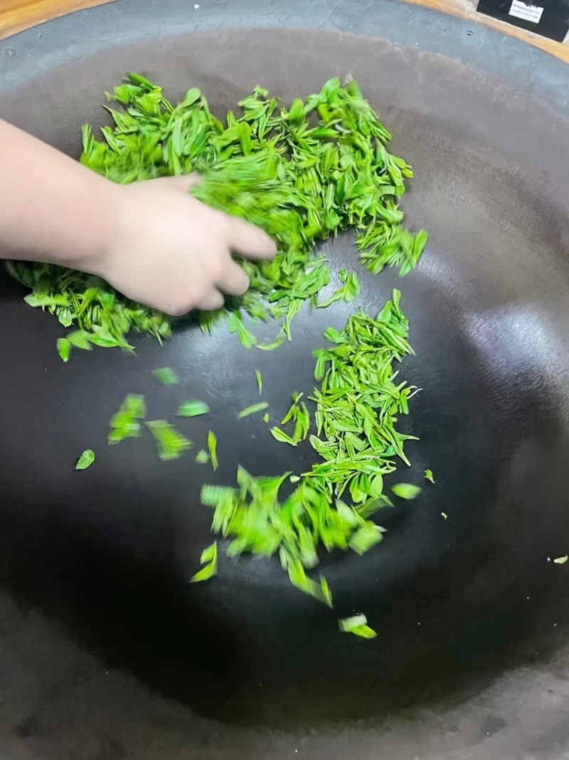 赣南高山茶上犹绿茶五指峰高山云雾绿茶
