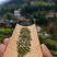 赣南高山茶上犹绿茶五指峰高山云雾绿茶