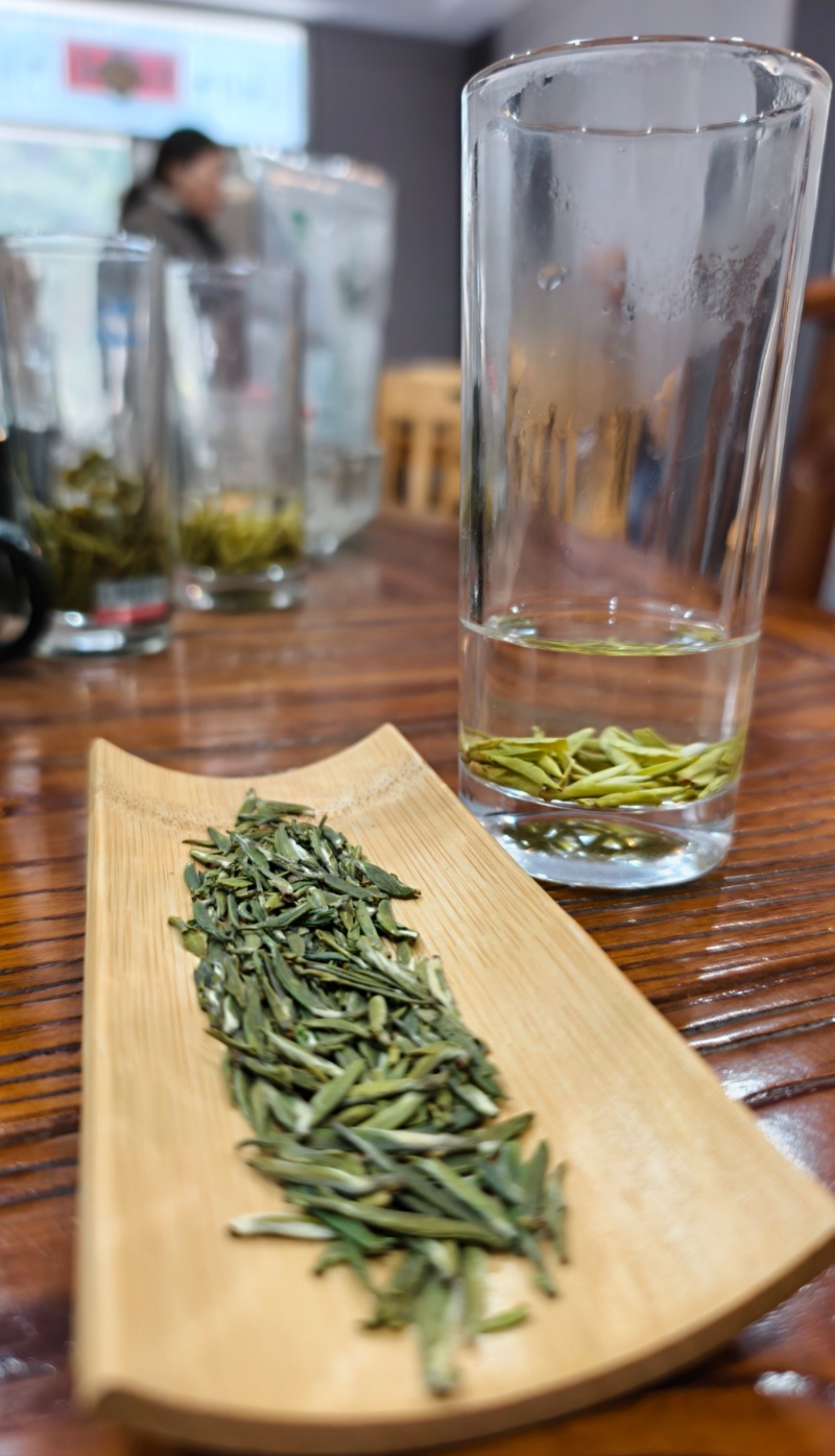 赣南高山茶上犹绿茶五指峰高山云雾绿茶