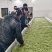 赣南高山茶上犹绿茶五指峰高山云雾绿茶