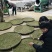 赣南高山茶上犹绿茶五指峰高山云雾绿茶