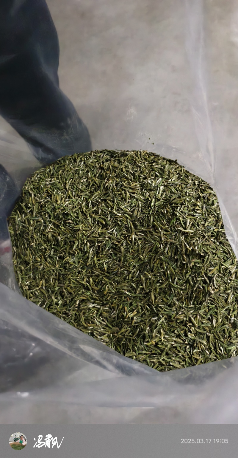 赣南高山茶上犹绿茶五指峰高山云雾绿茶