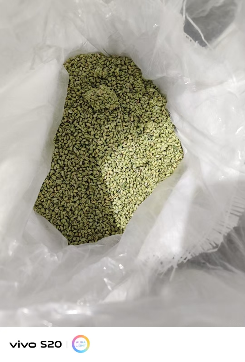 大量批发