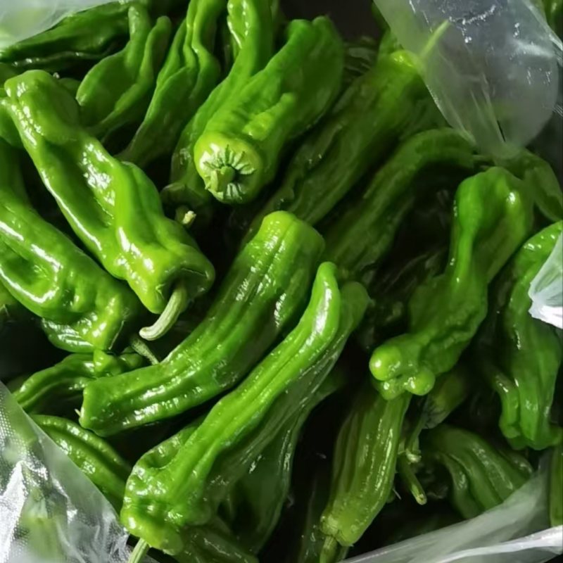 精品芜湖青椒，产地直发，一手货源