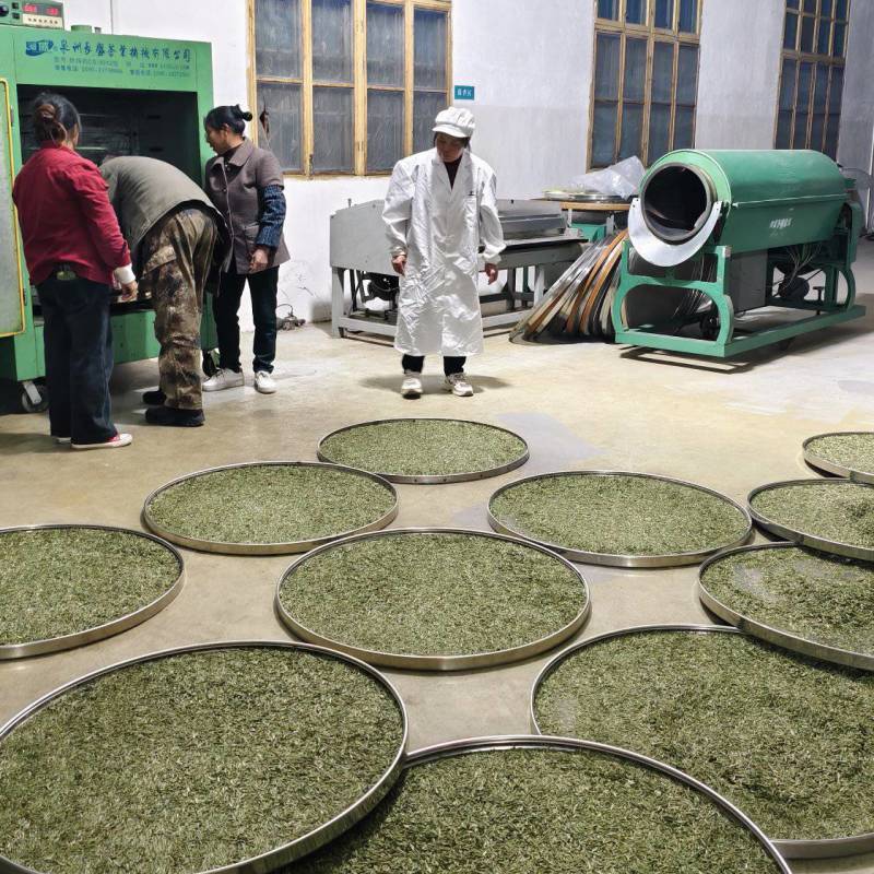 赣南高山茶上犹绿茶五指峰高山云雾绿茶