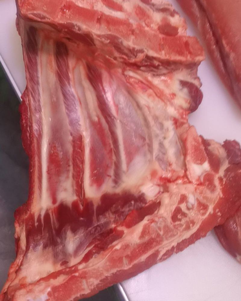 多肉前排