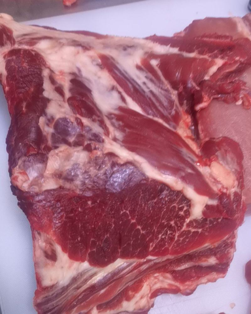 多肉前排
